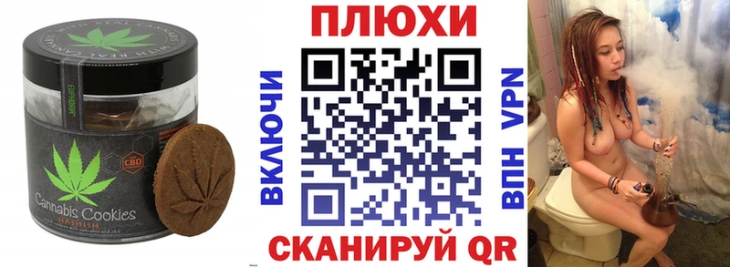где продают наркотики  Циолковский  Canna-Cookies конопля 