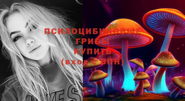 прущая мука Алзамай