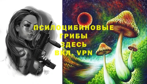мескалин Алексин