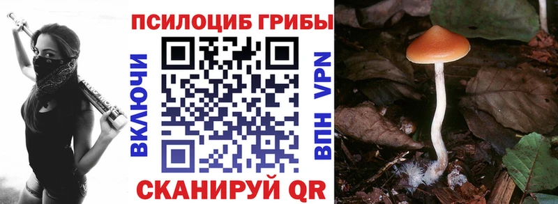 Галлюциногенные грибы мухоморы Циолковский